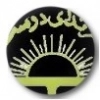 ندای دوست