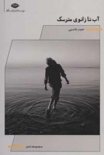 آب تا زانوی مترسک - مجموعه شعر