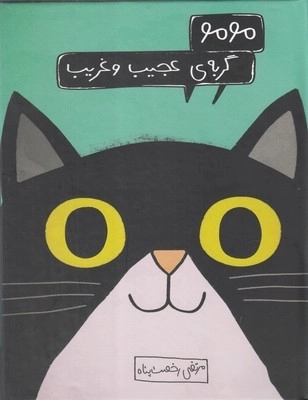 مومو گربه‌ی عجیب و غریب