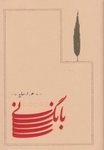 بانگ نی