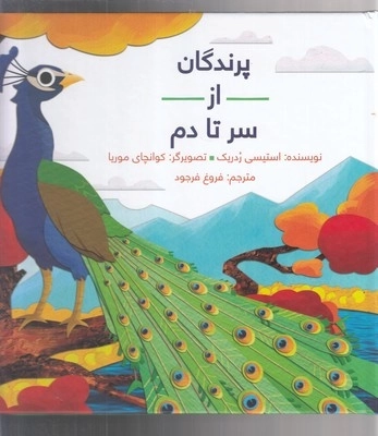 پرندگان از سر تا دم سلفون