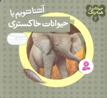 حیوانات از همه رنگ 4 - آشنا شویم با حیوانات خاکستری