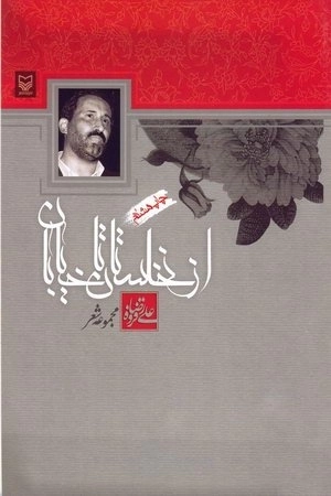 از نخلستان تا خیابان : مجموعه شعر