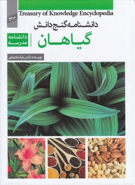گیاهان
