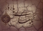 تیکه های پاره