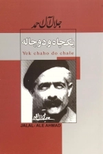 یک چاه و دو چاله