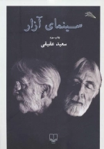 سینمای آزار (مطالعات سینمایی)