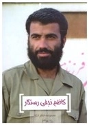 کاظم نجفی رستگار