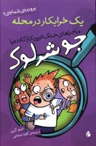 یک خرابکار در محله