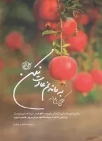 کوچه باغ انار به ماندنم عادت نکن