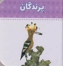 پرندگان