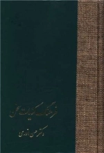 فرهنگ کنایات - 2 جلدی