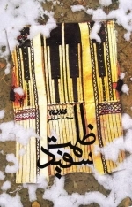 ظلمت سفید