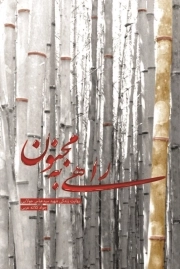 راهی به مجنون - روایت زندگی شهید سید عباس جولایی