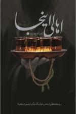 اهالی اینجا - روزنوشت هایی از بخش بانوان یک موکب اربعینی در کربلا