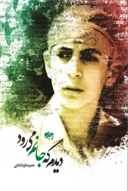 دیدم که جانم می رود