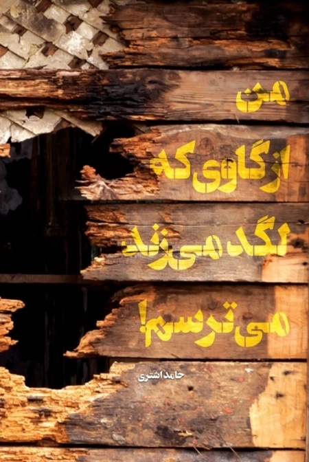 من از گاوی که لگد می زند می ترسم