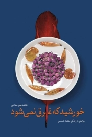 خورشید که غرق نمی شود - روایتی از زندگی محمد شمس