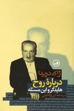 درباره روح - هایدگر و این مسئله