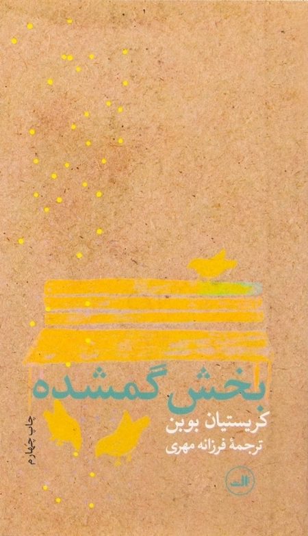 بخش گمشده