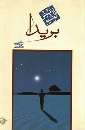 بریدا