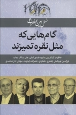 گام هایی که مثل نقره تمیزند - نسل امین الضرب 11