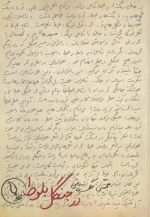 در جنگل بلوط