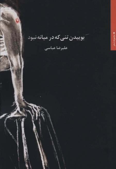 بوییدن تنی که در میانه نبود - مجموعه شعر