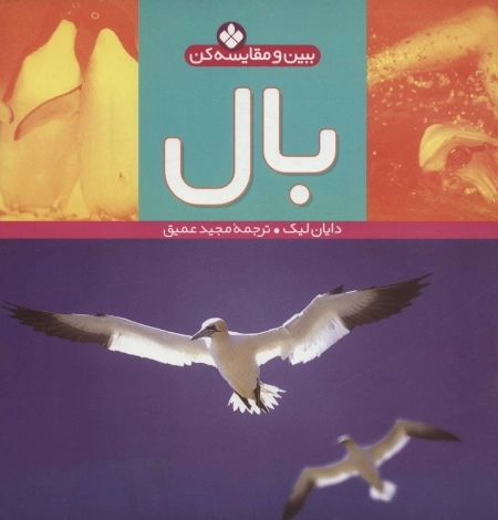 ببین و مقایسه کن 1 - بال