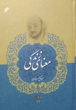 معنای زندگی - مجموعه آثار 11
