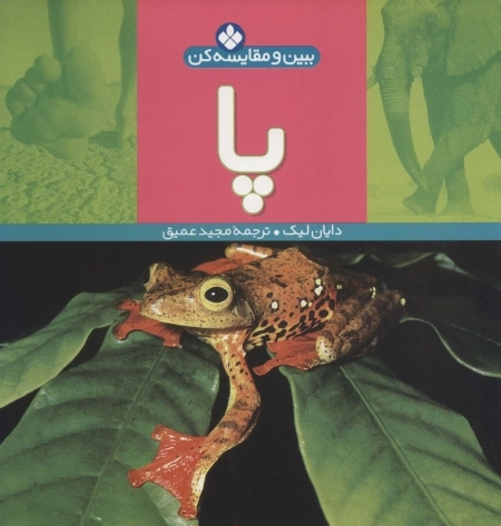 ببین و مقایسه کن 3 - پا