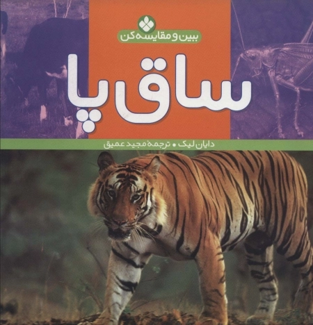 ببین و مقایسه کن 8 - ساق پا