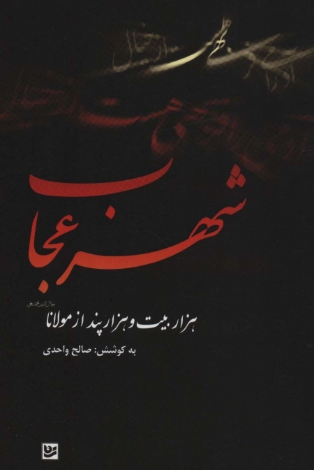 شهر عجاب - هزار بیت و هزار پند از مولانا