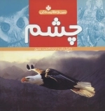 ببین و مقایسه کن 4 - چشم
