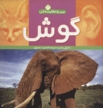 ببین و مقایسه کن 6 - گوش