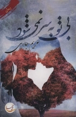بی تو به سر نمی شود