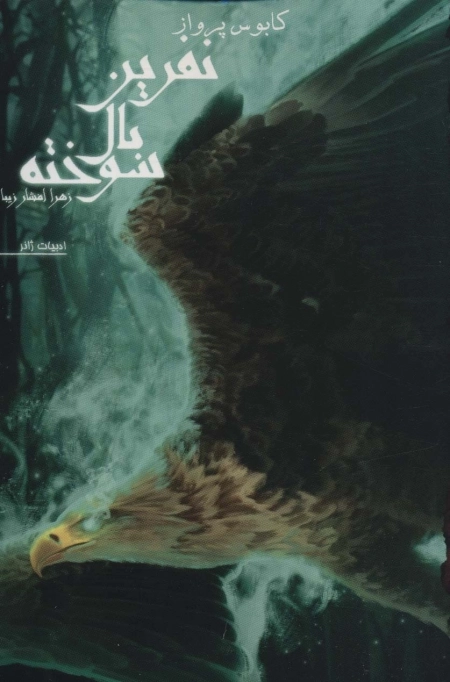 نفرین بال سوخته 1 - کابوس پرواز