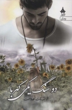 دو سنگ یکی کهربا - 2 جلدی