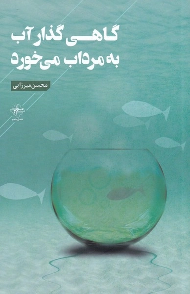 گاهی گذار به آب مرداب می خورد