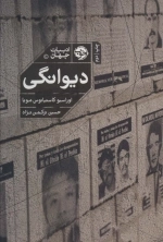 دیوانگی