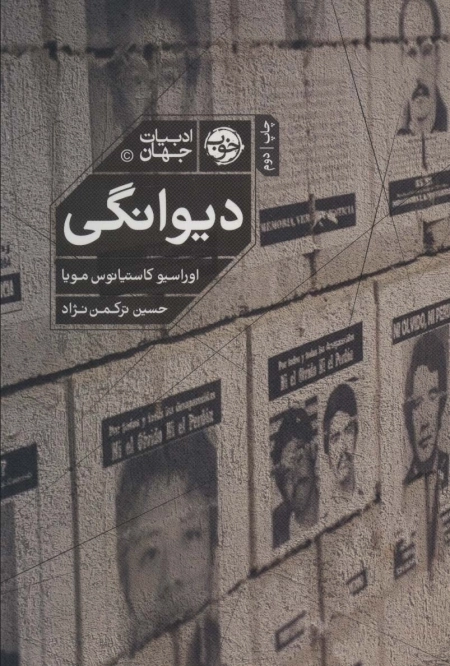 دیوانگی