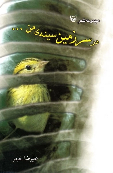 در سرزمین سینه من