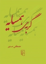 گربه ی همسایه