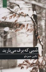 شبی که برف می بارید