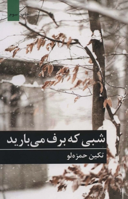 شبی که برف می بارید