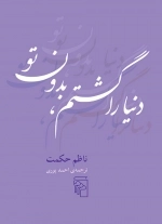 دنیا را گشتم بدون تو