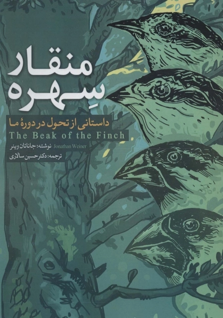منقار سهره - داستانی از تحول در دوره ما