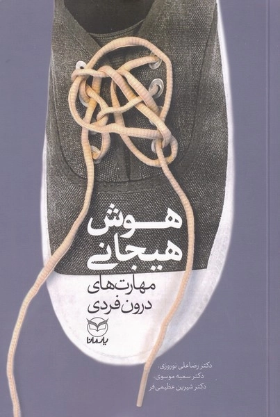 هوش هیجانی - مهارت های درون فردی