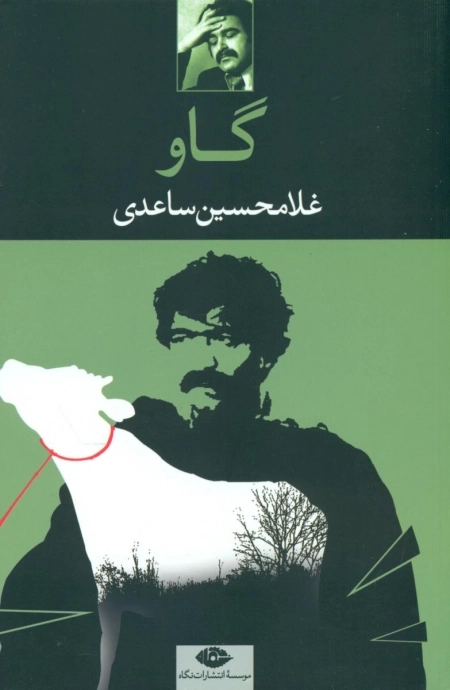 گاو