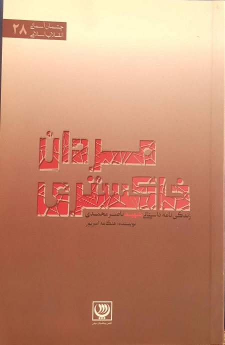 مردان خاکستری - زندگی نامه داستانی شهید ناصر محمدی